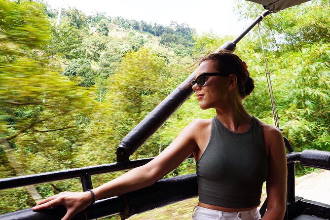 Koh Samui Jungle Safari By JEEP With MR.UNG (Including Lunch) - The High Buddha Viewpoint