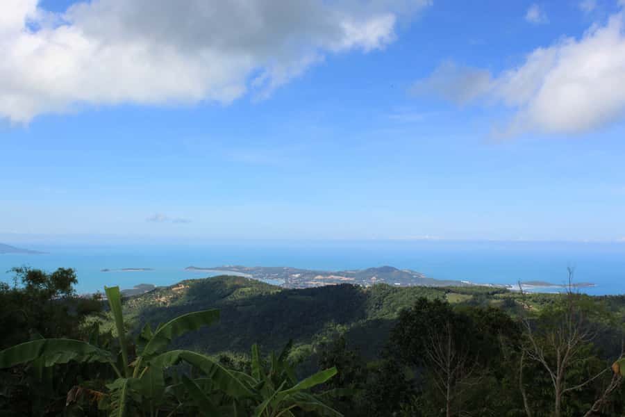 Koh Samui: Mr.Ung's 4WD Wild Jungle Safari Tour with Lunch - Secret Buddha Garden: statues in the forest