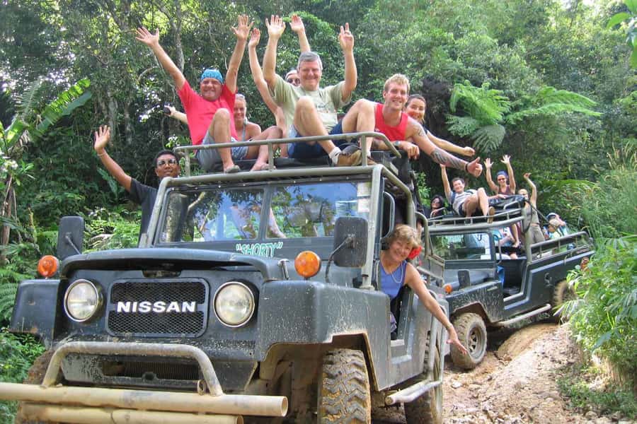 Koh Samui: Mr.Ung's 4WD Wild Jungle Safari Tour with Lunch - Wat Teepangkorn and the Big Mountain Top Buddha