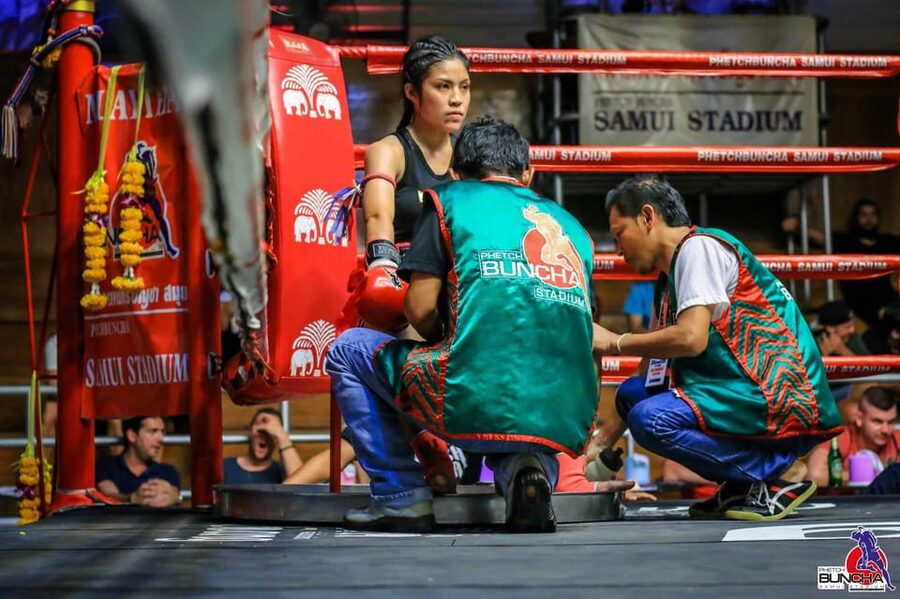 Koh Samui: Phetch Buncha Boxing Stadium Muay Thai Ticket - What the fight program feels like