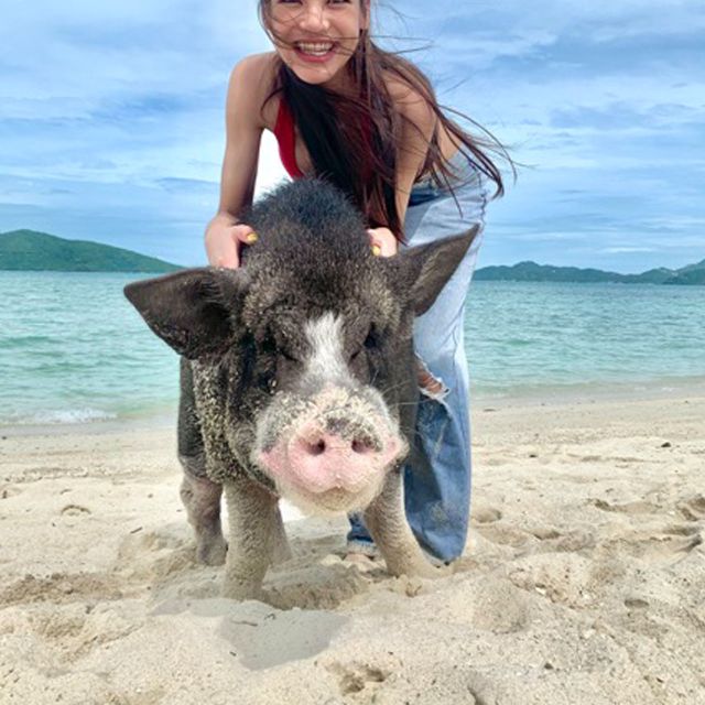 Koh Samui: Pig Island & Koh Tan Snorkeling by Speed boat - FAQ