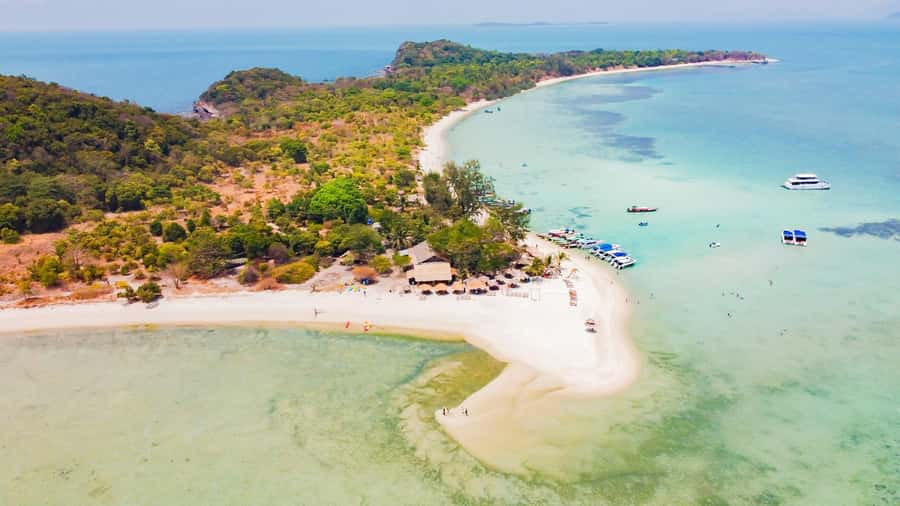 Koh Samui: Pig Island & Koh Tan Speedboat Tour with Lunch - From your hotel to Thong Krut Pier