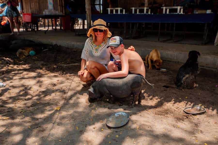 Koh Samui: Pig Island & Koh Tan Speedboat Tour with Lunch - Koh Madsum, the island with pigs