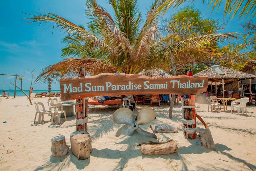 Koh Samui: Pig Island & Koh Tan Speedboat Tour with Lunch - What the $47 price really covers