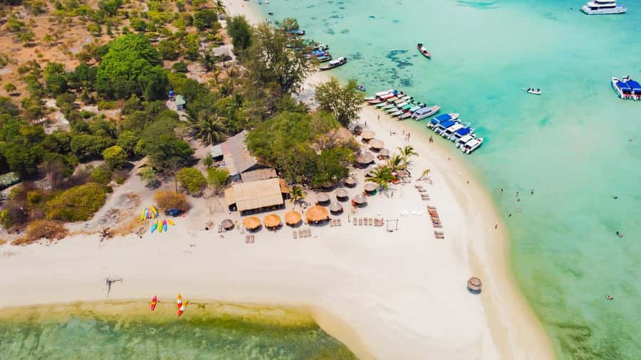 Koh Samui: Pig Island & Koh Tan Speedboat Tour with Lunch - Who will enjoy this outing most