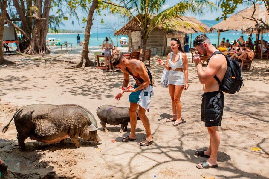 Koh Samui: Pig Island & Koh Tan Speedboat Tour with Lunch - Practical ways to make the five hours better