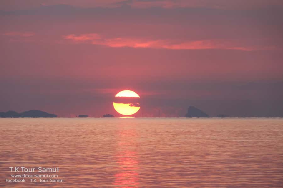 Koh Samui: Sunset Pig Island and Snorkeling Koh Tan w/Dinner - Should You Book the Pig Island Sunset Tour?