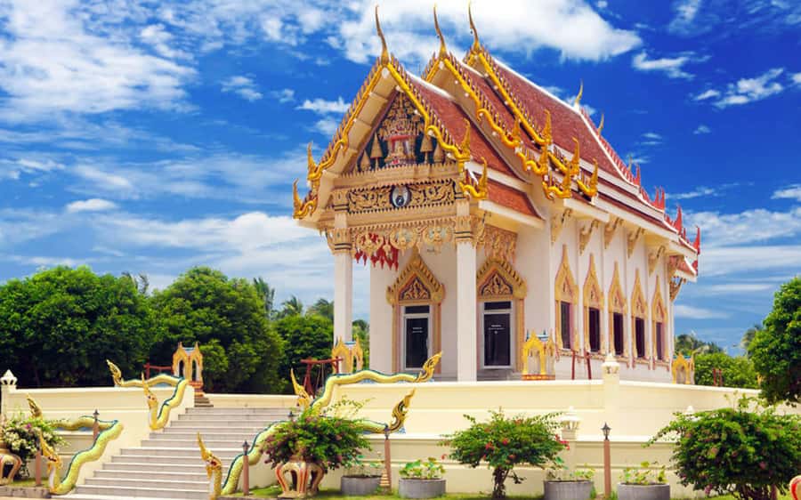 Koh Samui: Travstore Original Koh Samui Discovery Tour - The mummified monk and a quieter lesson