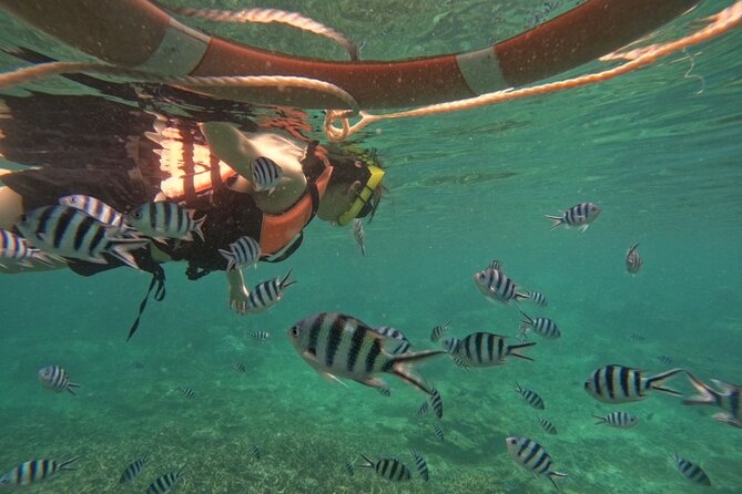 Koh Tao and Koh Nang Yuan Speedboat Tour from Koh Phangan - Food, drinks, and the small comforts
