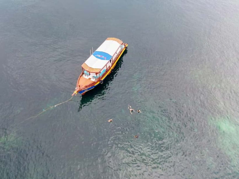 Koh Tao: First Light Snorkel Adventure with Oxygen Tours - Freedom Bay for a quieter swim