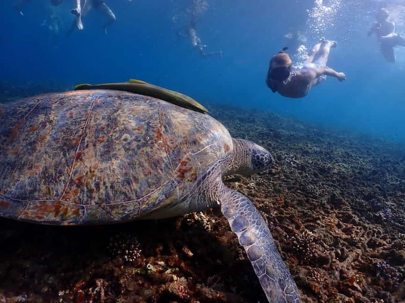 Koh Tao: Golden Hour Getaway – Your Late Start to Paradise - Koh Nangyuan: the trip’s essential first stop