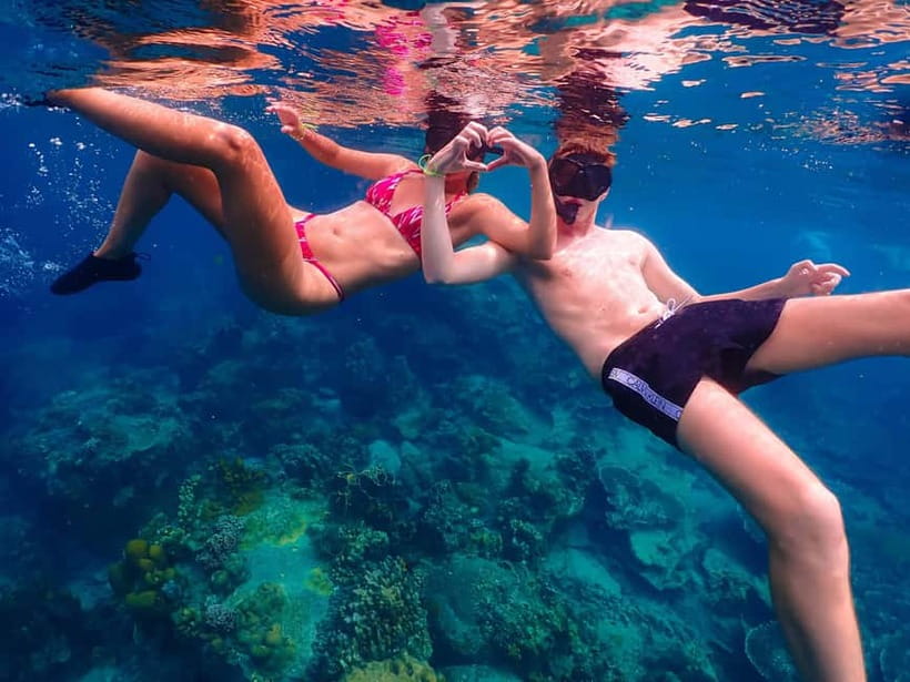 Koh Tao: Golden Hour Getaway – Your Late Start to Paradise - Shark Bay: wildlife, sunset, and the day’s uncertain finish
