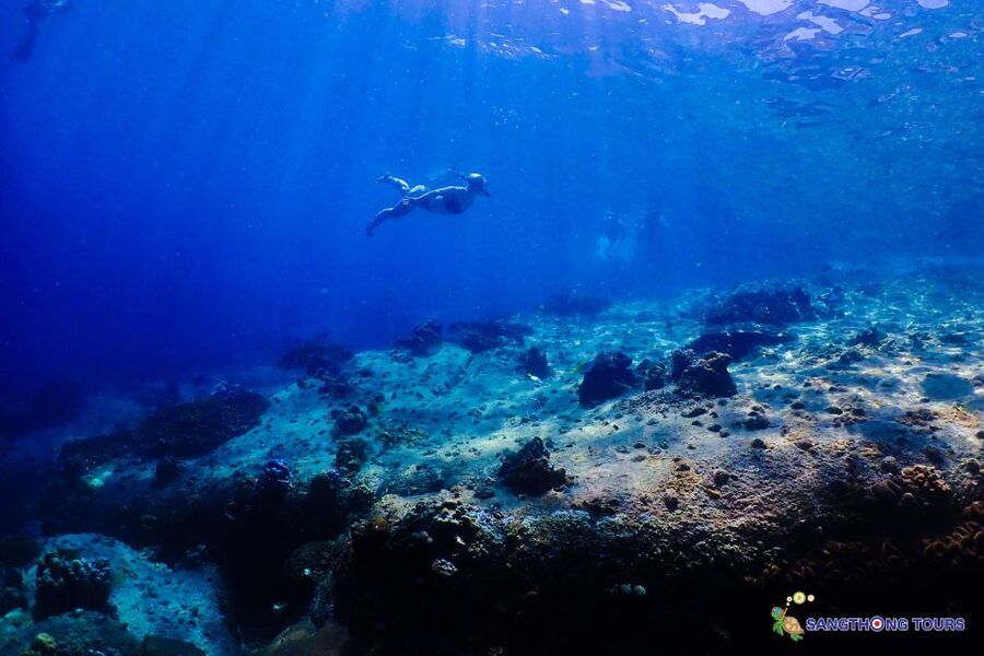 Koh Tao: Islands Snorkeling Highlights Day Tour & Lunch - The best parts of the day