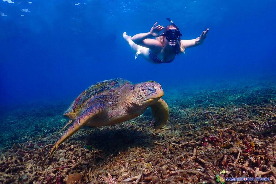 Koh Tao: Islands Snorkeling Highlights Day Tour & Lunch - Aow Luek, blue water, and Shark Island views