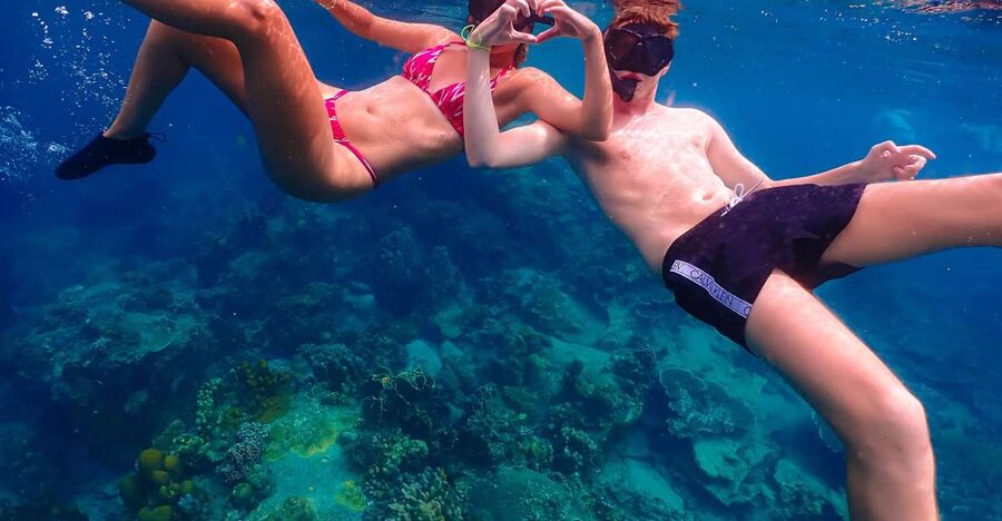 Koh Tao: Islands Snorkeling Highlights Day Tour & Lunch - Shark Bay and the final wildlife search
