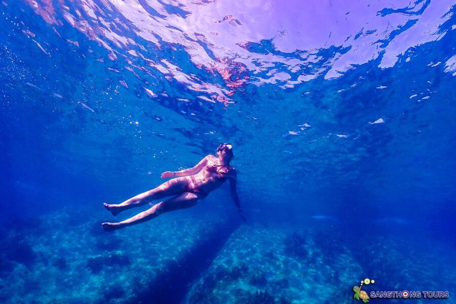 Koh Tao: Islands Snorkeling Highlights Day Tour & Lunch - How good is the snorkeling?