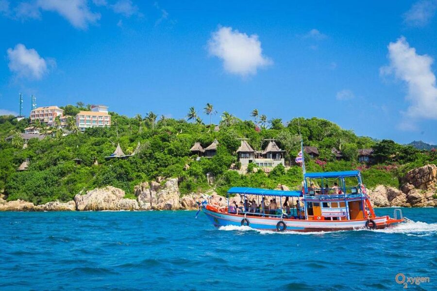 Koh Tao: Koh Nangyuan and the Hidden Bays Trip by the Oxygen - Shark Bay and the best chance for turtles