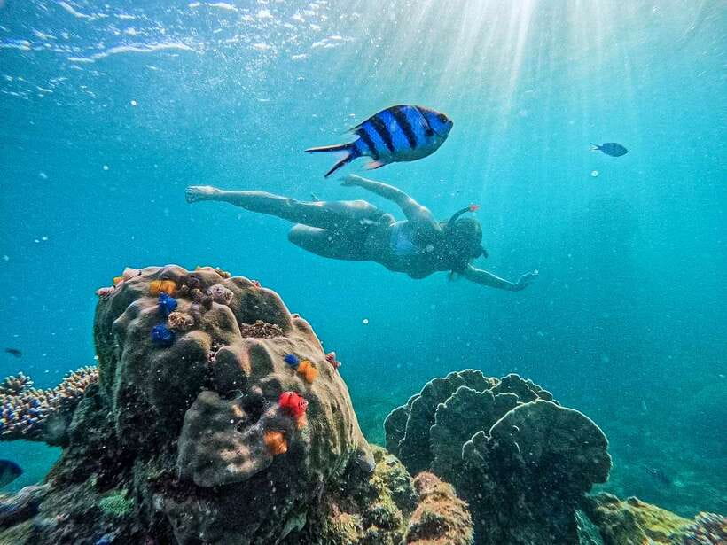 Koh Tao: Koh Nangyuan & Hidden Bays Snorkeling Tour w/ Lunch - Key points before you book