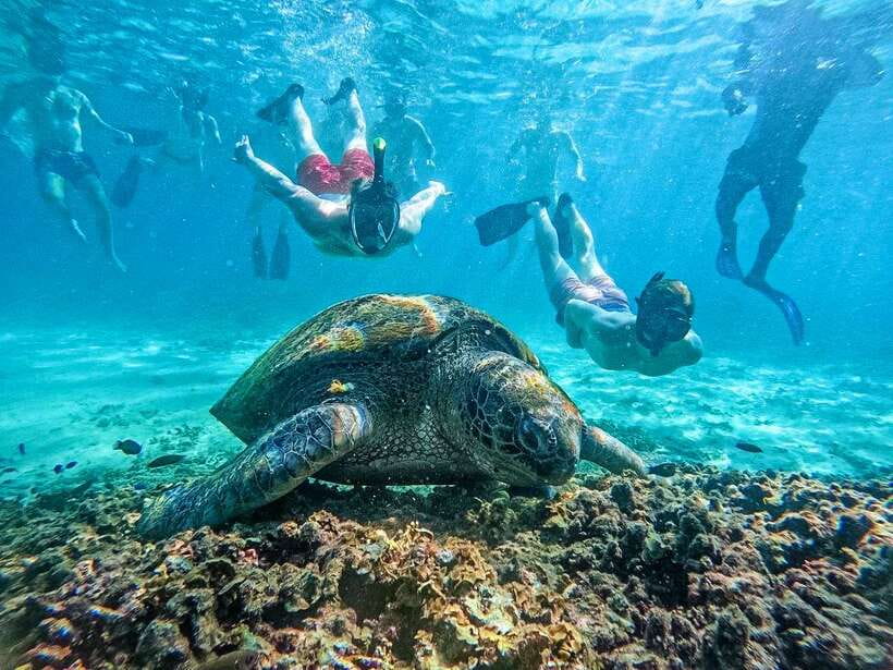 Koh Tao: Koh Nangyuan & Hidden Bays Snorkeling Tour w/ Lunch - Koh Nang Yuan: views, shallow water, and a busy first stop