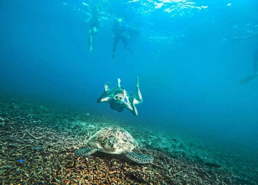 Koh Tao: Koh Nangyuan & Hidden Bays Snorkeling Tour w/ Lunch - The guides and the free underwater photos