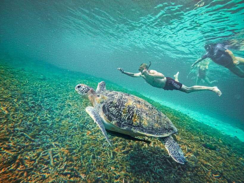 Koh Tao: Koh Nangyuan & Hidden Bays Snorkeling Tour w/ Lunch - Sun, swimming, and what the day feels like