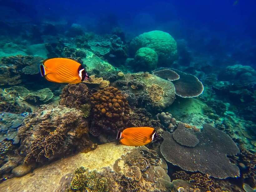 Koh Tao: Koh Nangyuan & Hidden Bays Snorkeling Tour w/ Lunch - How weather changes the route