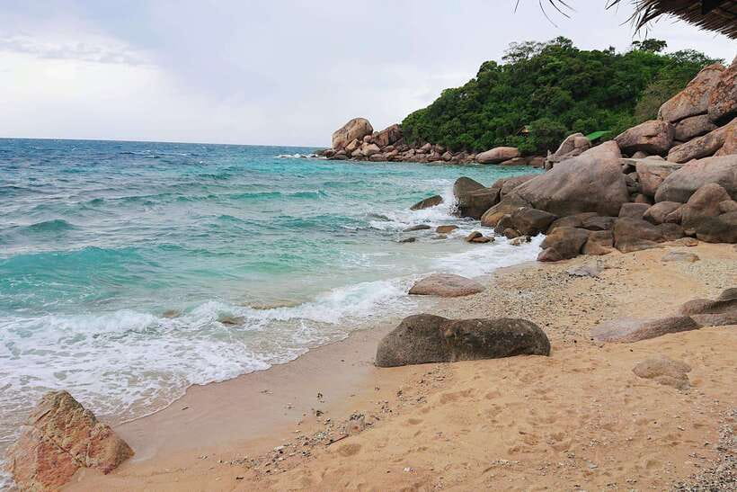 Koh Tao: Premium Snorkel Tour to Koh Nangyuan Bays by Oxygen - Why the 25-Person Limit Matters