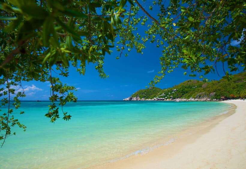 Koh Tao: Premium Snorkel Tour to Koh Nangyuan Bays by Oxygen - Shark Bay and the Search for Turtles