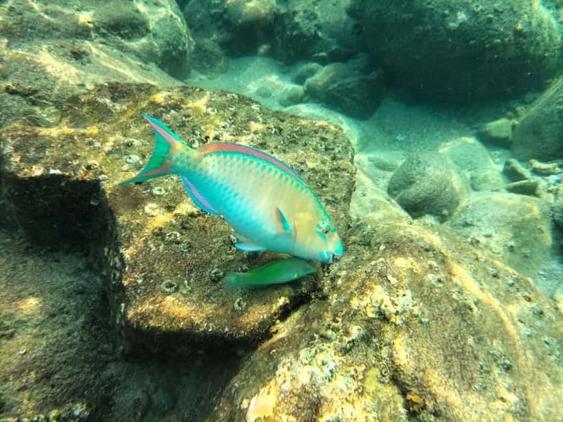 Koh Tao: Snorkeling and Sunset Tour - Guides who make the difference
