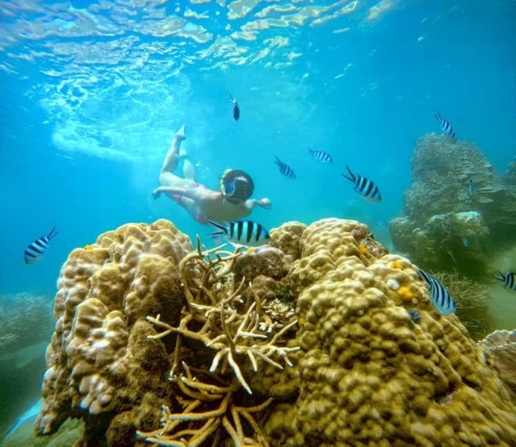 Koh Tao: Snorkeling Trip to Nang Yuan Island & Hidden Bays - Mae Haad Pier and the run to Nang Yuan