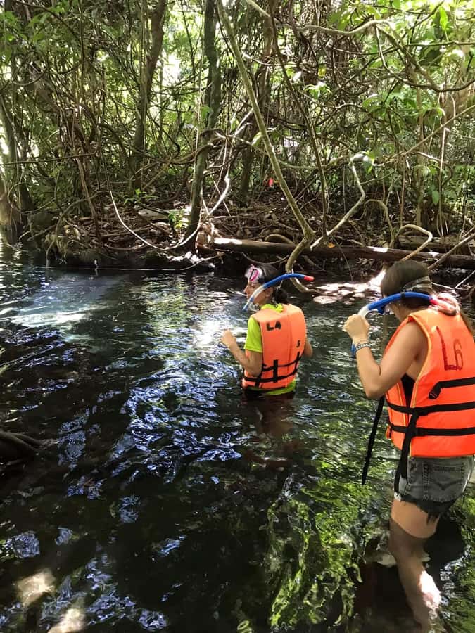 Krabi: Amazon Klong Srakaew Kayaking With Lunch - Why Klong Srakaew feels different from central Krabi