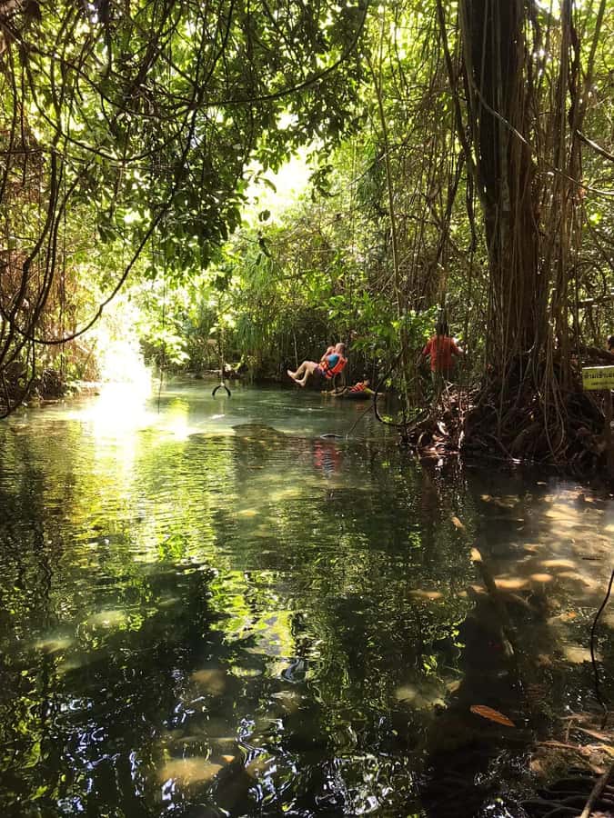Krabi: Amazon Klong Srakaew Kayaking With Lunch - What the $46 price really includes