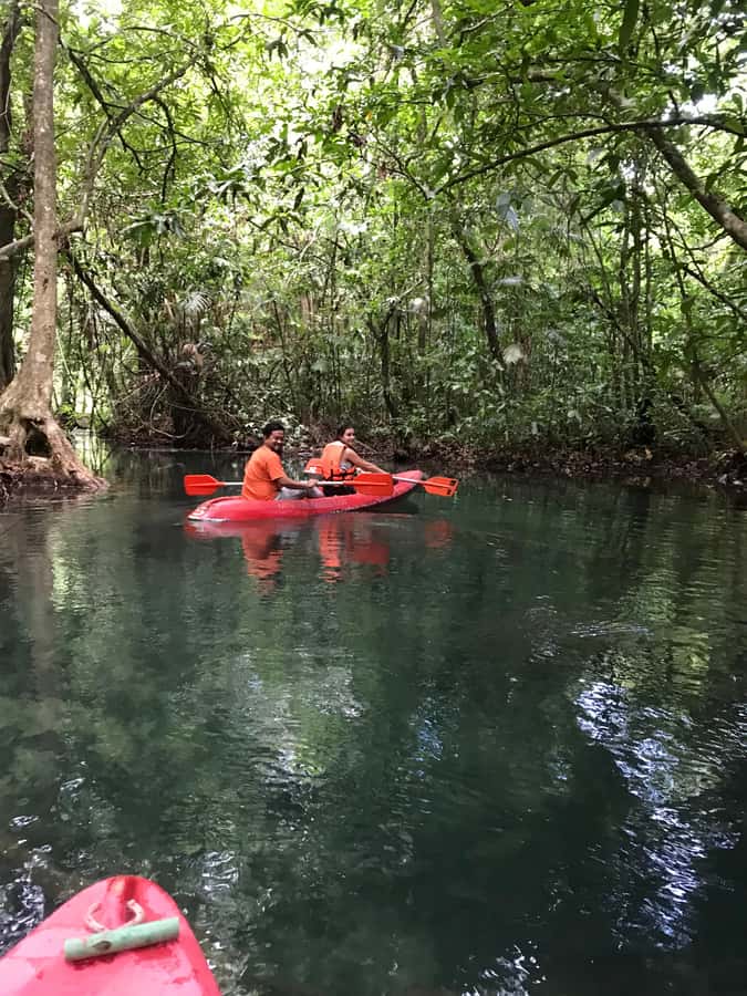 Krabi: Amazon Klong Srakaew Kayaking With Lunch - The elephant confusion and why it matters