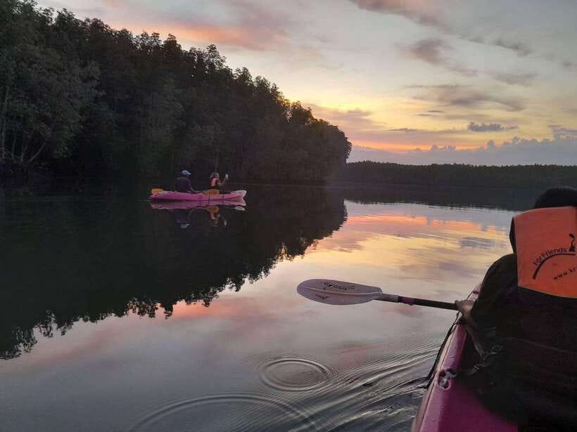 Krabi: Ao Thalane Sunset Kayak adventure (group of 10 max) - Paddling through the mangrove forest