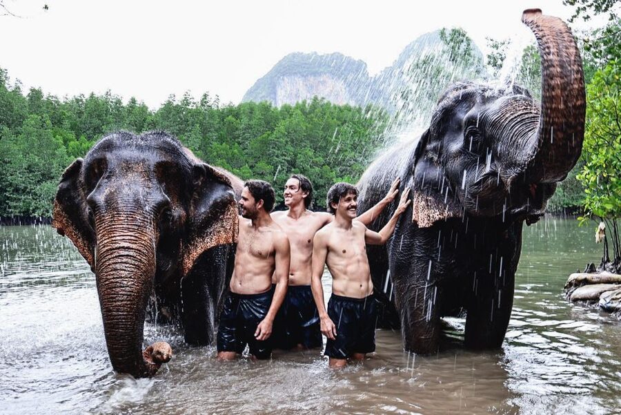 Krabi: Elephant Bathing Session at Krabi Elephant Shelter - Five things to know before you go