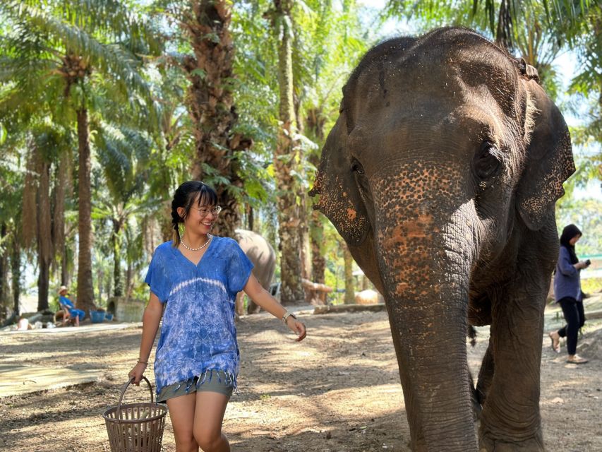 Krabi: Elephant Bathing Session at Krabi Elephant Shelter - Feeding the elephants before getting wet