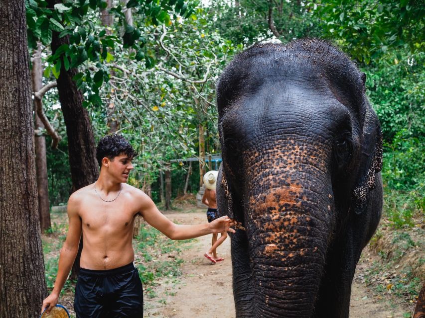 Krabi: Elephant Bathing Session at Krabi Elephant Shelter - Who will enjoy this Krabi elephant experience?