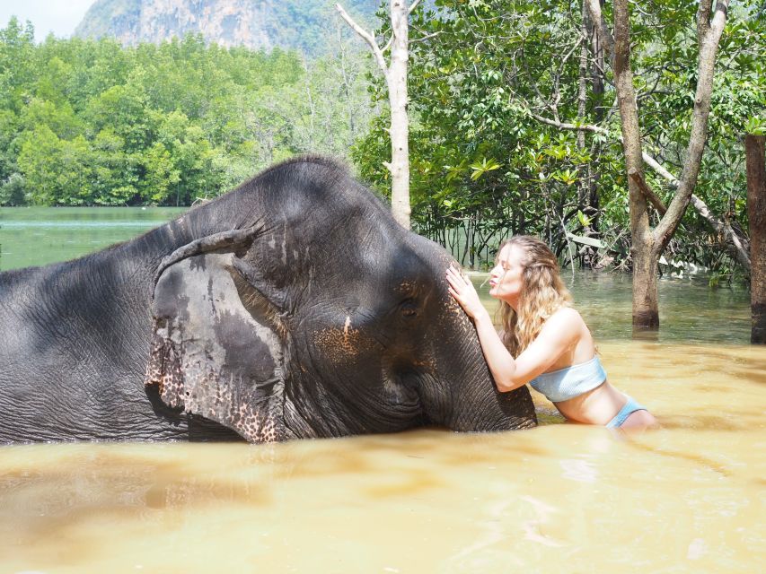 Krabi: Elephant Bathing Session at Krabi Elephant Shelter - My verdict on Krabi Elephant Shelter