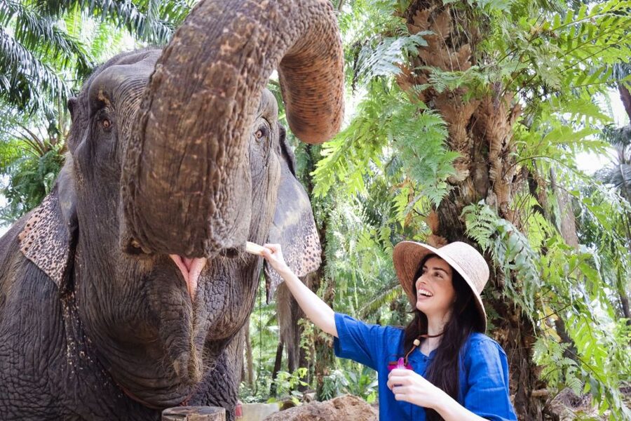Krabi: Elephant Bathing Session at Krabi Elephant Shelter - Bathing in a lush outdoor setting