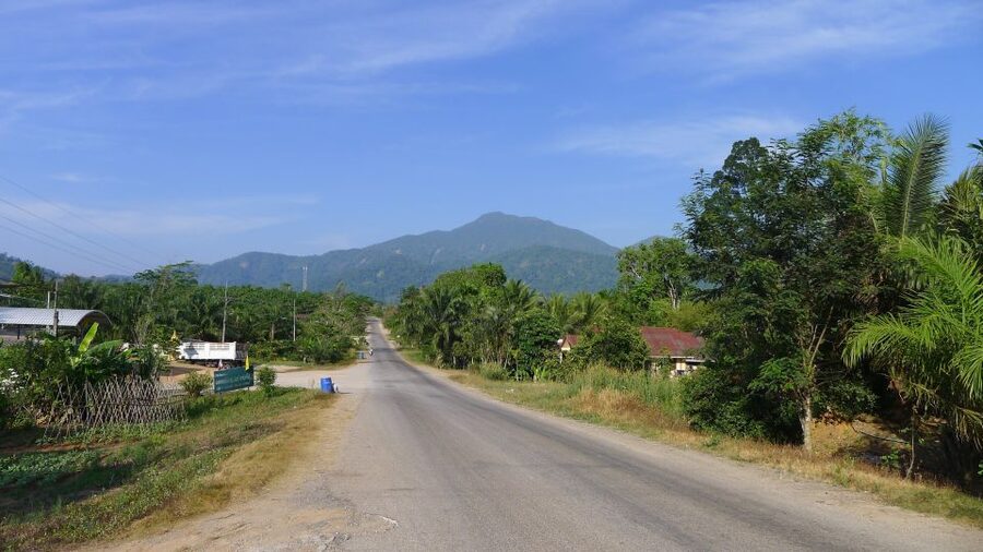 Krabi: Elephant Care House Guided Tour with Hotel Transfers - Key points at a glance