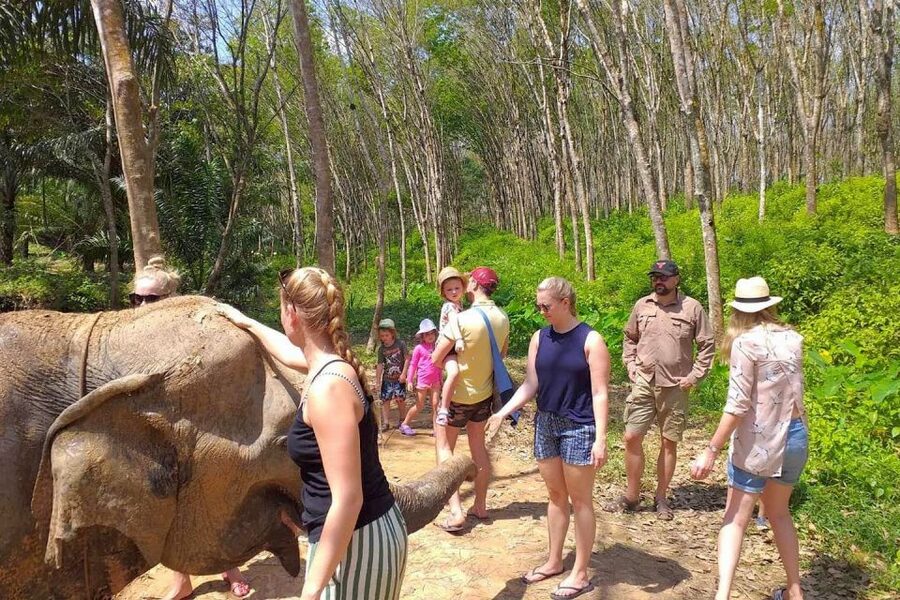 Krabi: Elephant Care House Guided Tour with Hotel Transfers - Preparing food and feeding four gentle giants