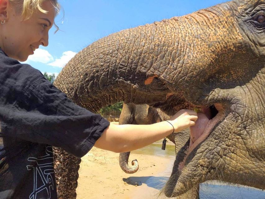 Krabi: Elephant Care House Guided Tour with Hotel Transfers - What happens during the 15-minute safety briefing