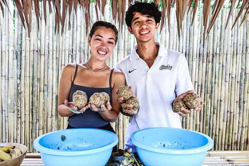 Krabi: Elephant Feeding Program - My take on the staff and animal care