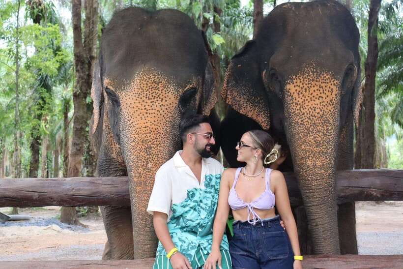 Krabi: Elephant Feeding Program - Preparing fruit and protein balls