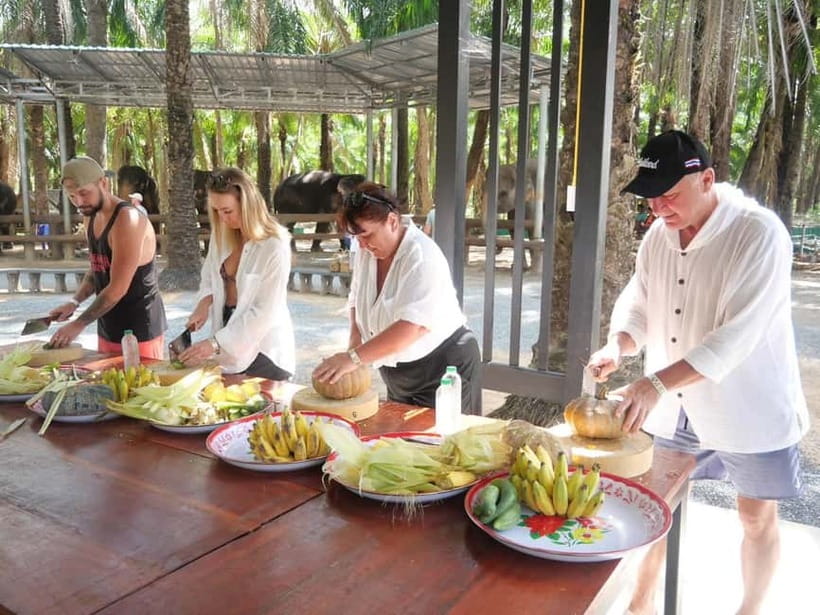 Krabi: Elephant Feeding Program with Food Preparation - What this 30-minute elephant visit really offers