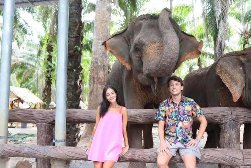 Krabi: Elephant Feeding Program with Food Preparation - Why the retired-elephant setting matters