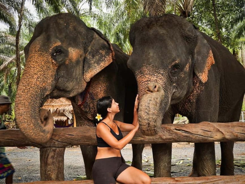 Krabi: Elephant Feeding Program with Food Preparation - Who will enjoy this elephant experience most