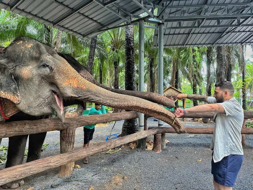 Krabi: Elephant Feeding Program with Food Preparation - Preparing fruit and vegetable cakes for the elephants