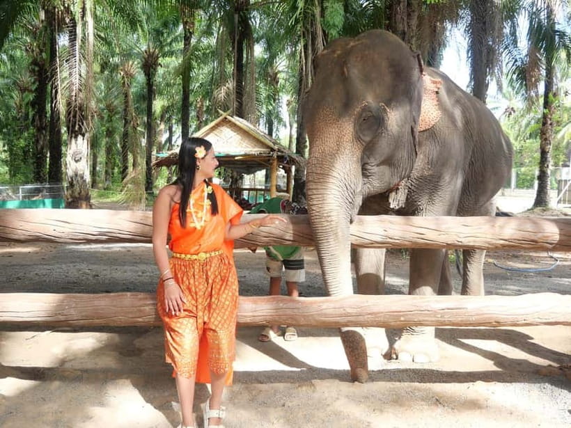Krabi: Elephant Feeding Program with Traditional Thai Dress - Meeting the mahouts and learning the safe way