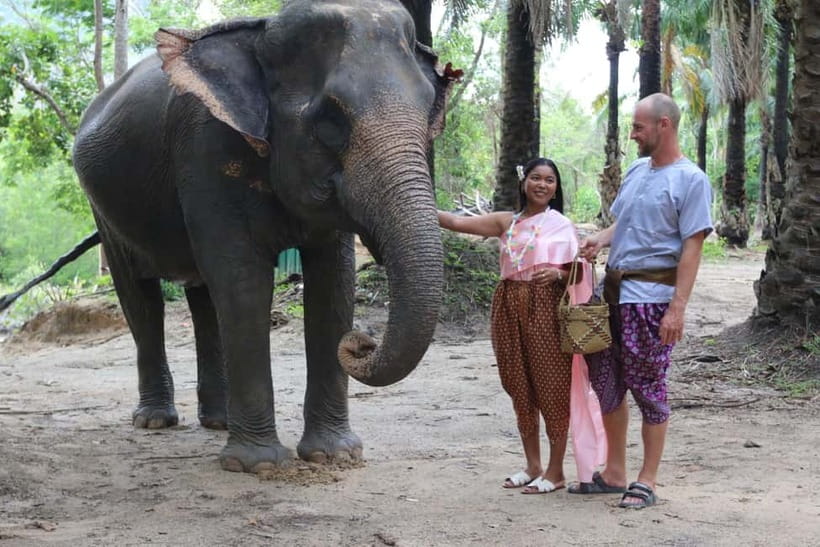 Krabi: Elephant Feeding Program with Traditional Thai Dress - Feeding bananas or sugar cane